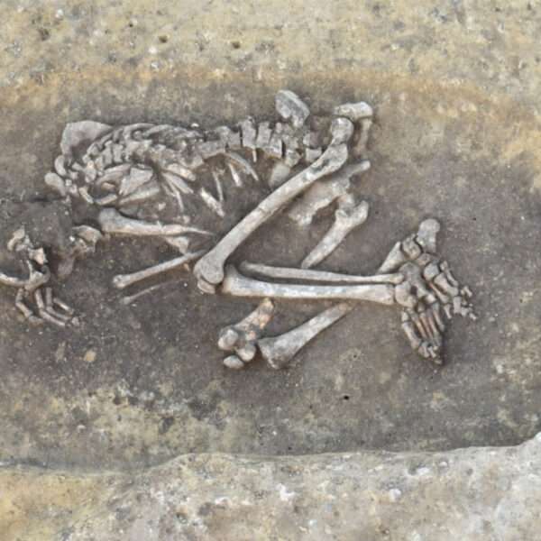 4,000 Year Old Corpses Were Victims Of Black Death