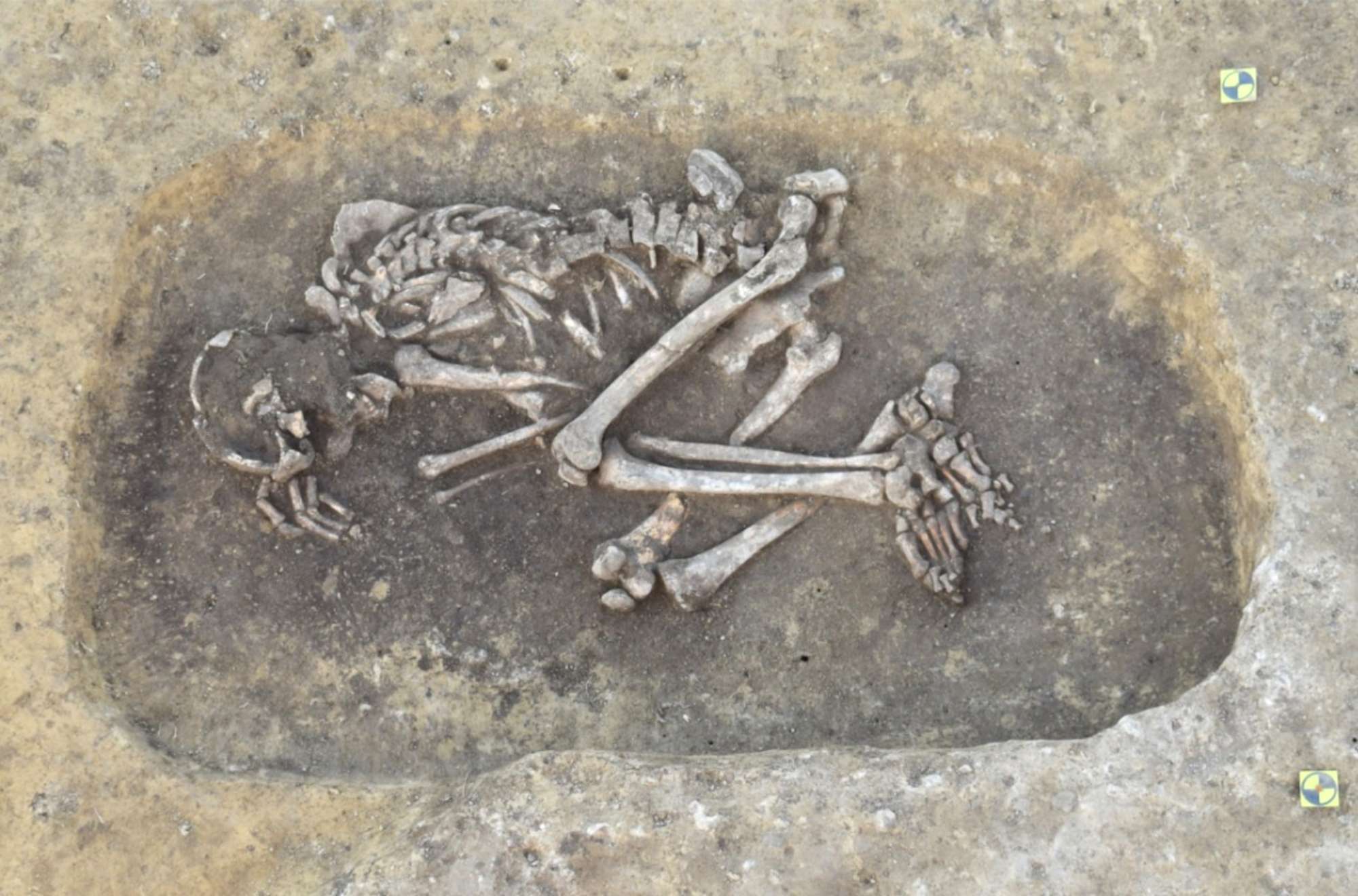 4,000 Year Old Corpses Were Victims Of Black Death