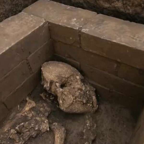 Giant Panda Skeleton Found Inside 2,000-Year-Old Emperor’s Tomb