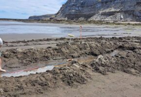  Archaeologists Uncover Stunning Fossil Footprint Of Giant Bird That Roamed Atlantic Coast Eight Million Years Ago